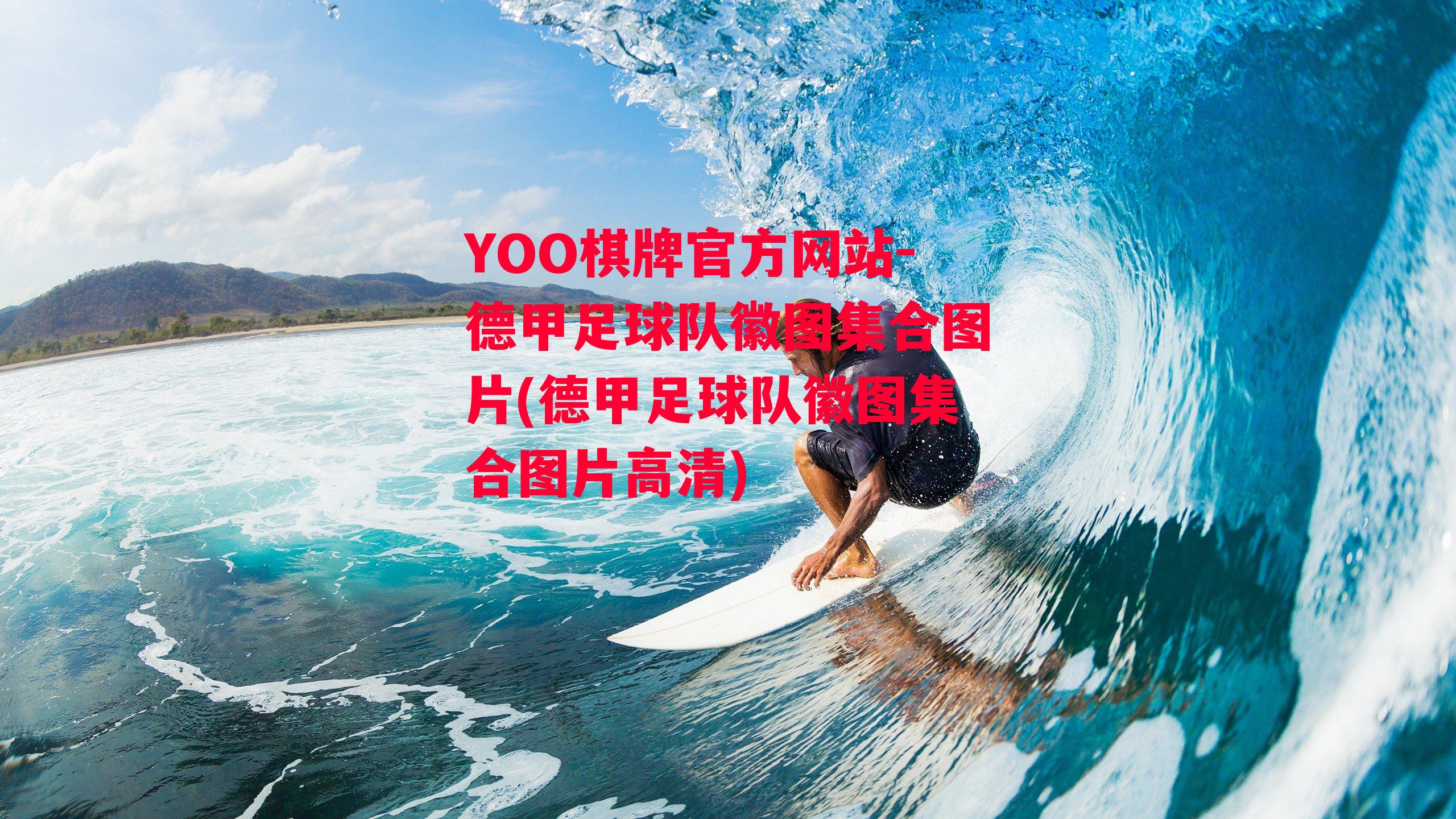 YOO棋牌官方网站-德甲足球队徽图集合图片(德甲足球队徽图集合图片高清)